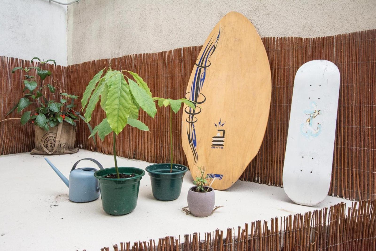 Altzoan Zarauz Tourist Apartments Con Aparcamiento Gratis Εξωτερικό φωτογραφία