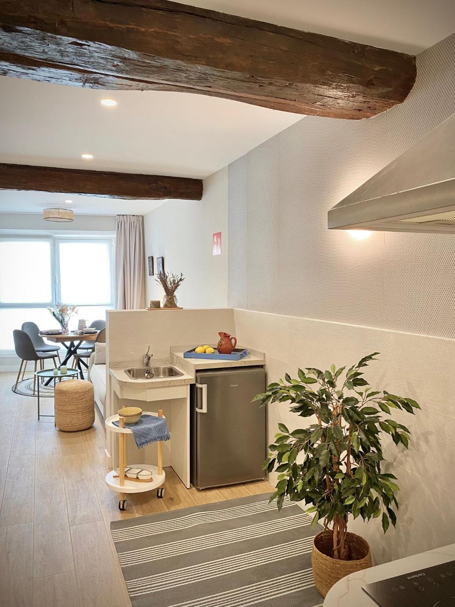 Altzoan Zarauz Tourist Apartments Con Aparcamiento Gratis Εξωτερικό φωτογραφία
